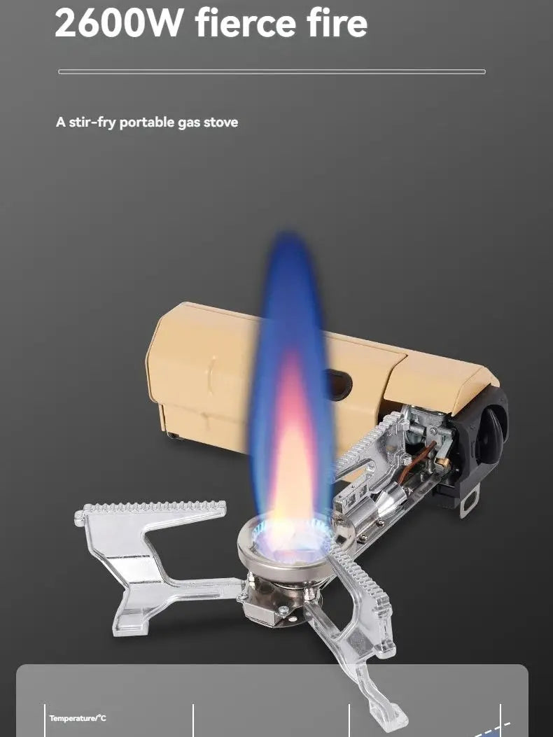 Flexora FlameLite™ 2670W Portable Gas Stove